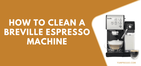How to Clean a Breville Espresso Machine [Beginners Guide]