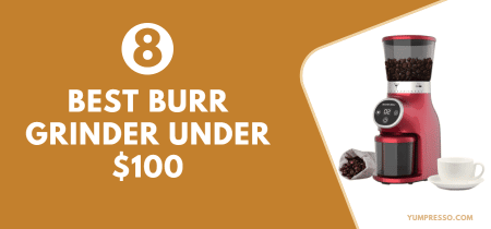 8 Best Burr Grinders Under $100 in 2024