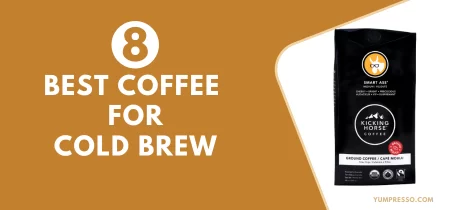 8 Best Coffee For Cold Brew in 2024