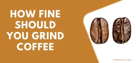 How Fine Should You Grind coffee?