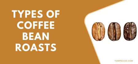 Types of Coffee Bean Roasts