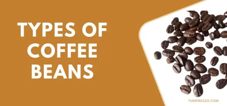 Types of Coffee Beans [Usage and Benefits]